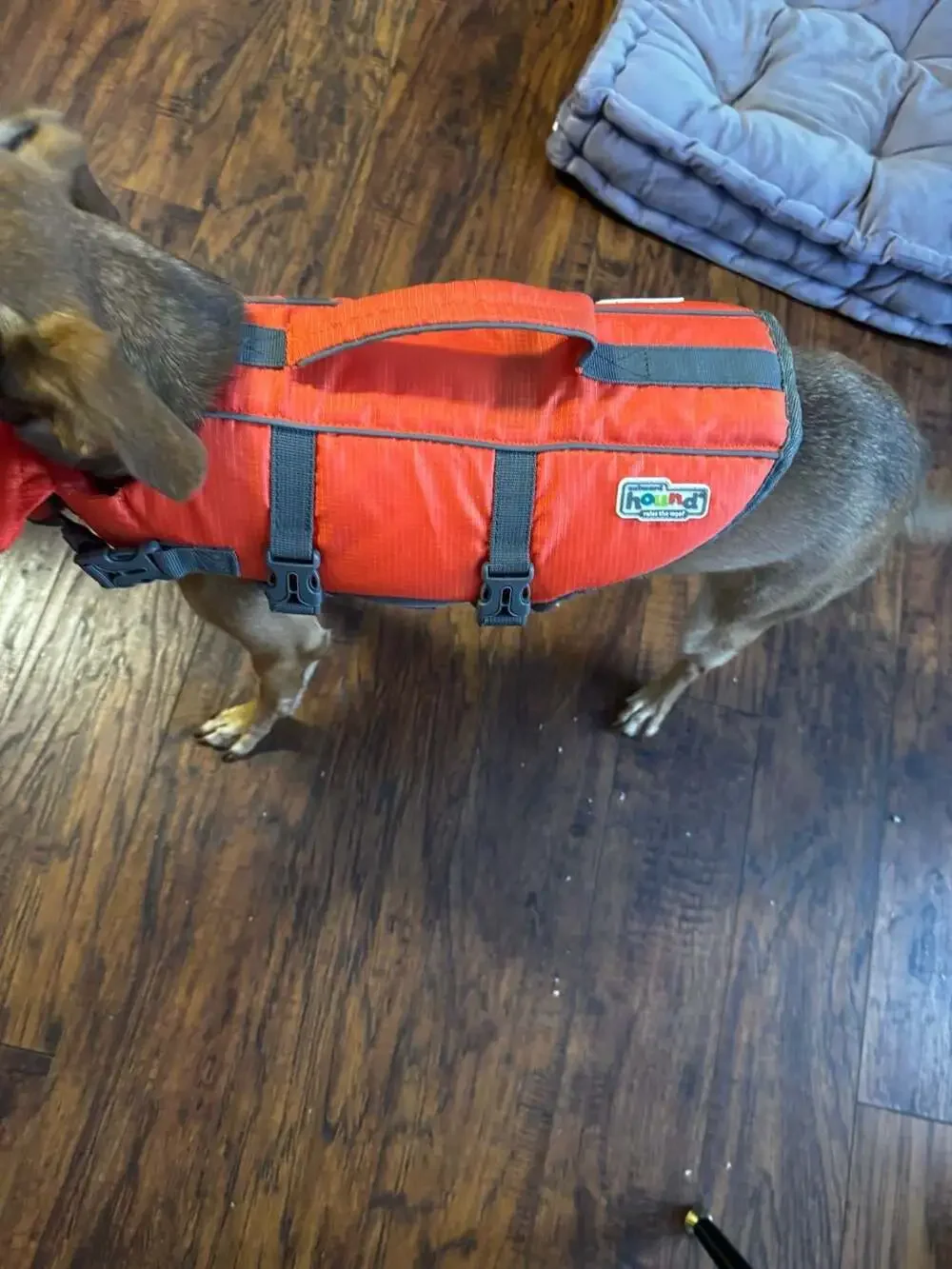 Outward Hound Granby Splash Orange Dog Life Jacket Safety Vest